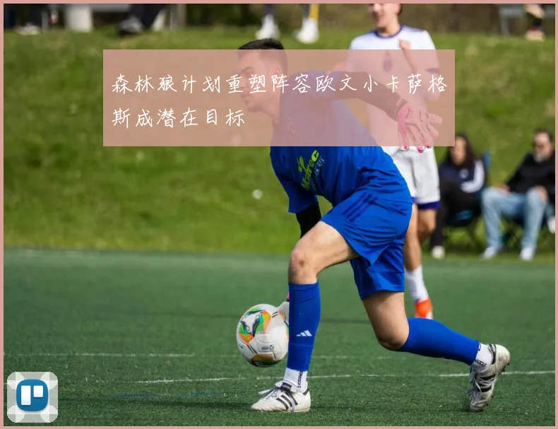 森林狼计划重塑阵容欧文小卡萨格斯成潜在目标