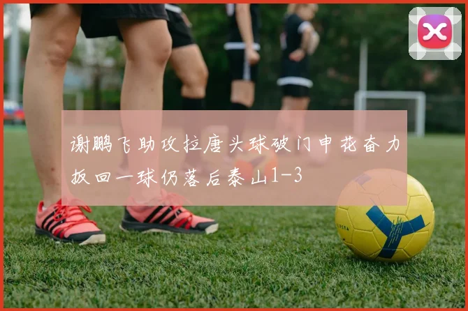 谢鹏飞助攻拉唐头球破门申花奋力扳回一球仍落后泰山1-3